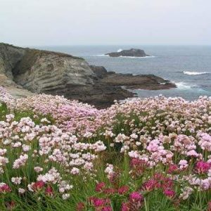Actividades de nuestra comarca: El Parque Histórico del Navia